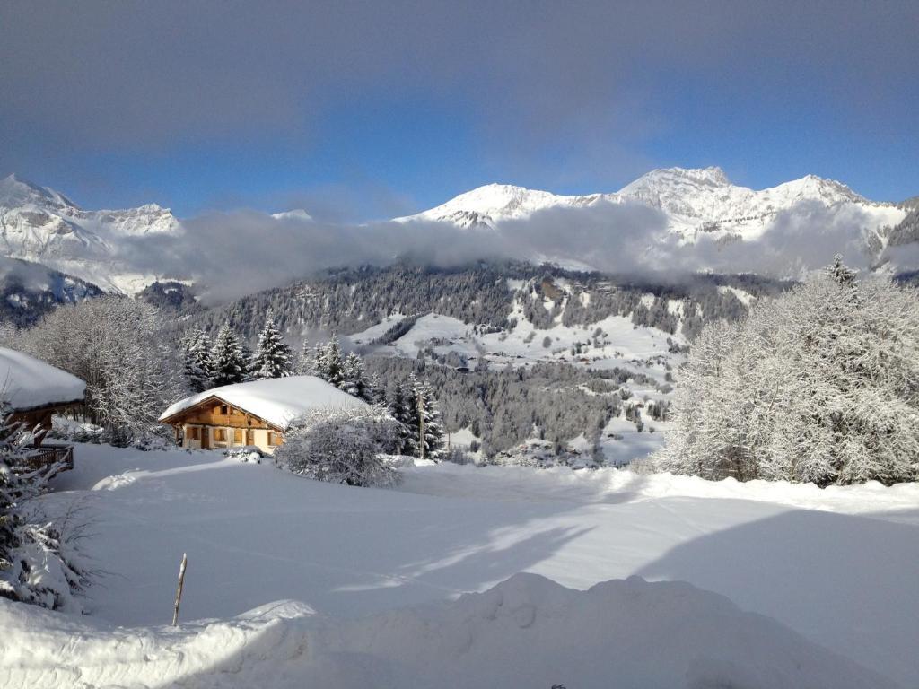Hotel Le Caprice Des Neiges Crest-Voland Exterior foto